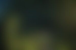Фотография квеста Шрек от компании Квест-комнаты (Фото 1)