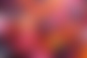 Фотография квеста-анимации Brawl Stars от компании Детвора (Фото 1)