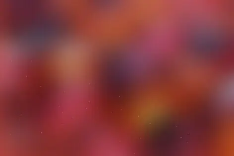 Квест-анимация «Brawl Stars» от Детвора